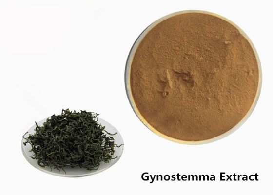 China Food Grade Anti Tumor Herbal Gynostemma Extract Powder supplier