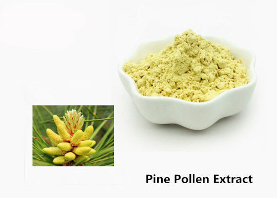 China Health Care 1kg Natural Pine Pollen Extract Powder supplier