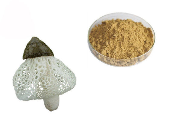 China Organic Dictyophora Indusiata Extract supplier