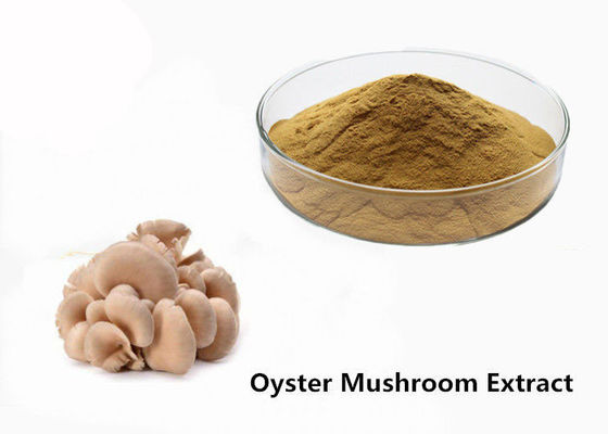 China Oyster Mushroom Extract Powder supplier