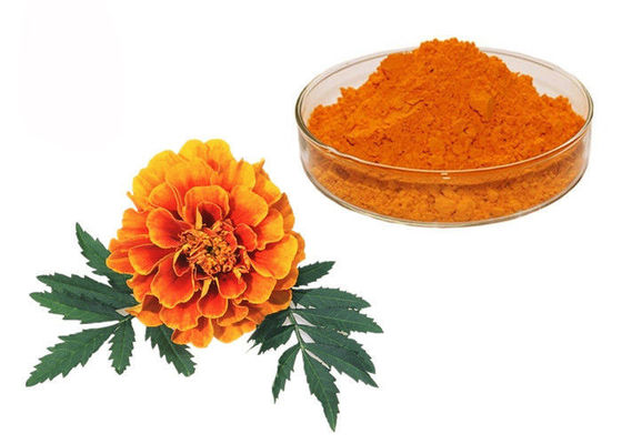 China Natural Pigment Xanthophyll Marigold Flower Herbal Extract Powder supplier