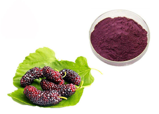 China Anthocyanin Fruit Mulberry Herbal Extract Powder For Food Additives supplier