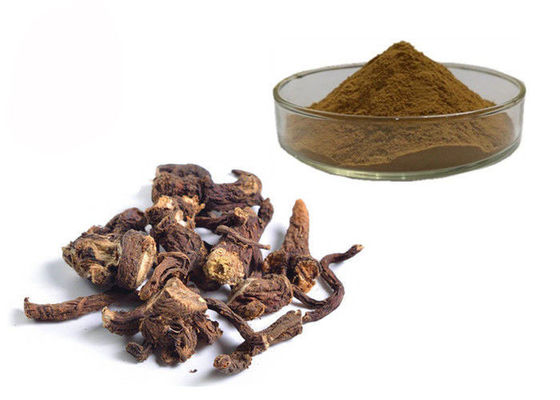 China Water Soluble Organic Dandelion Root Herbal Extract Powder supplier