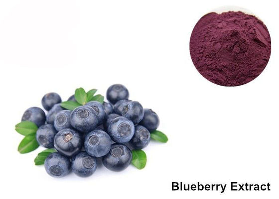 China Organic Blueberry Extract Powder For Eyes supplier