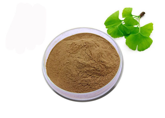 China USP Grade Organic Ginkgo Biloba Powder supplier