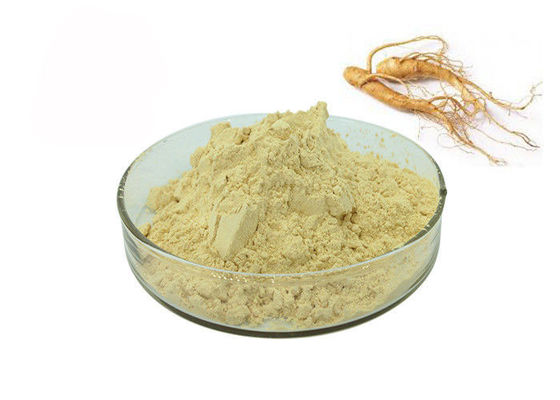 China 30% Ginsenosides Anti Aging Light Yellow Ginseng Extract Powder supplier