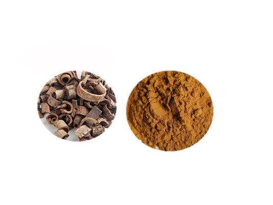 China Magnolol Magnolia Bark Extract Powder supplier