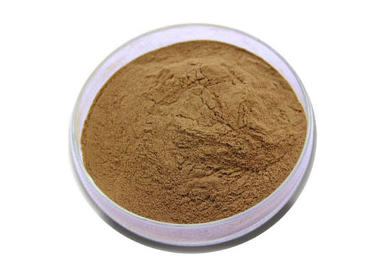 USP Grade Organic Ginkgo Biloba Powder supplier