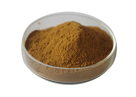 USP Grade Organic Ginkgo Biloba Powder supplier