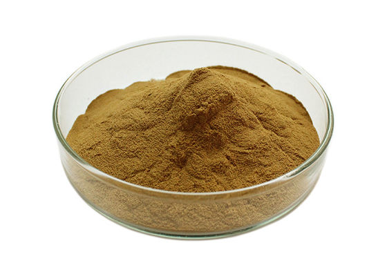 Owering Blood Pressure Ginkgo Biloba Bulk Powder supplier