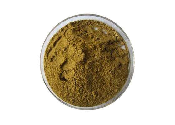 Pharmaceutical Grade Ginkgo Biloba Extract Powder For Health Care supplier