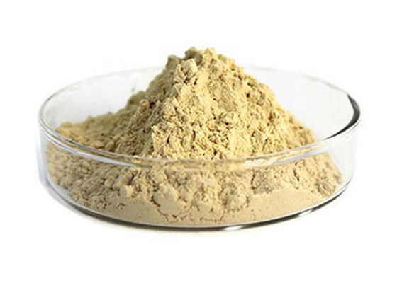 10% Ginsenosides Red Ginseng Extract supplier