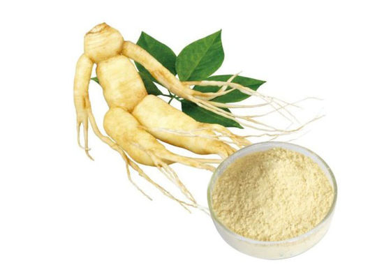 CAS 90045-38-8 80% Ginsenosides Pure Herbal Ginseng Root Powder supplier
