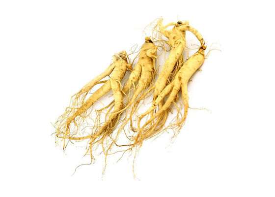 30% Ginsenosides Anti Aging Light Yellow Ginseng Extract Powder supplier