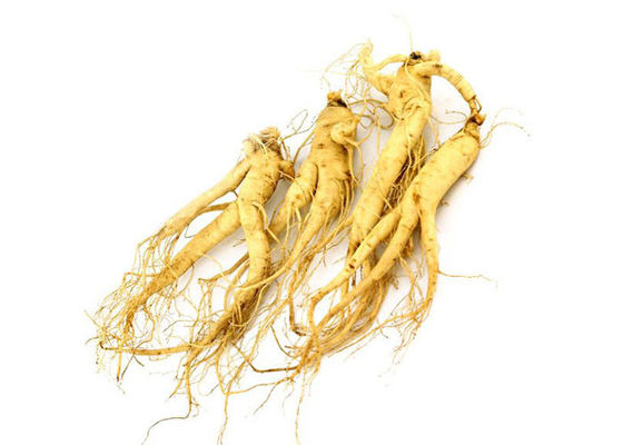 Food Grade Panaxoside Ginseng Extract Powder For Health Products supplier