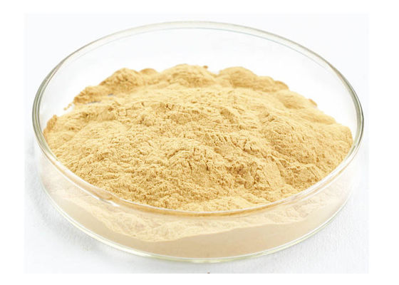Organic Siberian Root 30% 80% Ginsenosides Pure Ginseng Extract supplier
