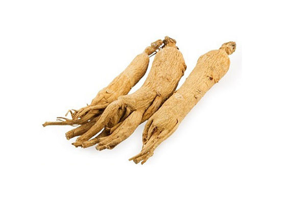 Health Care Improving Immune Root Ginseng Extract Powder supplier