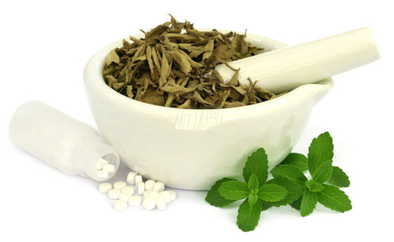 Lose Weight Food Grade 95% Stevia Leaf Extract Powder supplier