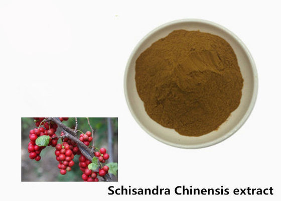 Hepatoprotective 5.2% Schisandra Chinensis Plant Extract Powder supplier