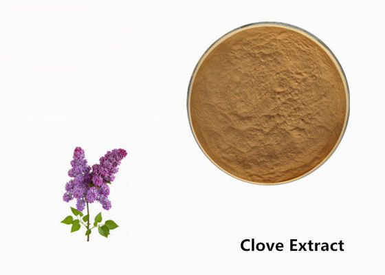 Brown Clove Flower Plant Extract Powder For Food Additive supplier