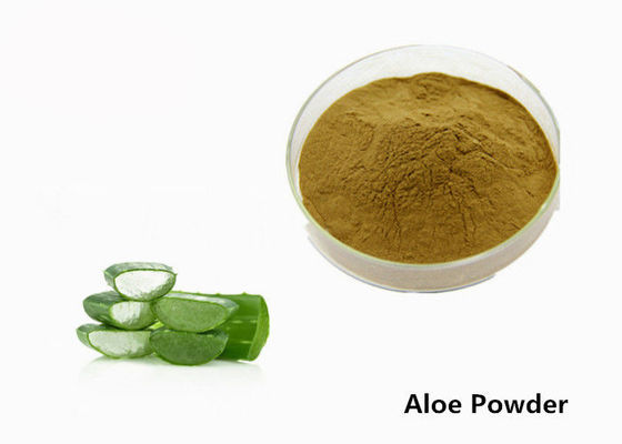 Cosmetic Grade Aloe Barbadensis Leaf Plant Extract Powder For Skin supplier