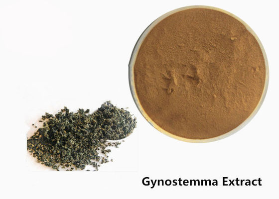 Food Grade Anti Tumor Herbal Gynostemma Extract Powder supplier