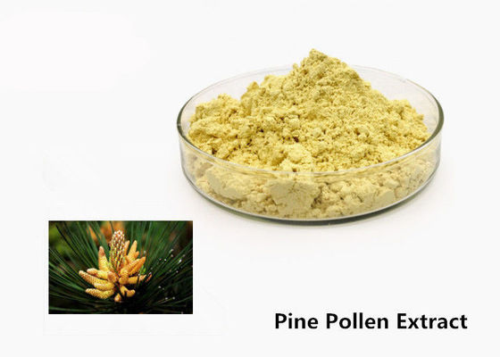 Health Care 1kg Natural Pine Pollen Extract Powder supplier