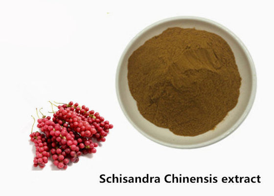 Hepatoprotective 5.2% Schisandra Chinensis Plant Extract Powder supplier