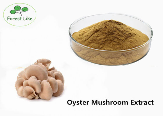 Oyster Mushroom Extract Powder supplier
