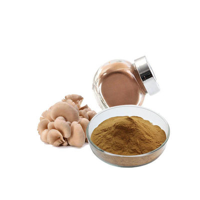 Oyster Mushroom Extract Powder supplier