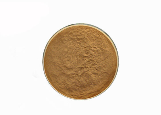 Hericum Erinaceus 10% Polysaccharides Mushroom Extract Powder supplier