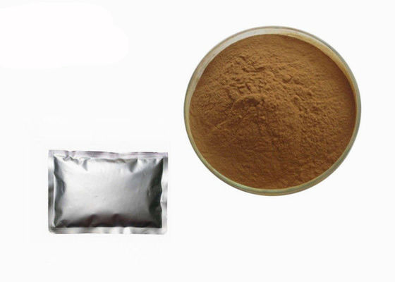 Anti Fatigue Food Grade Shiitake Mushroom Extract Powder supplier