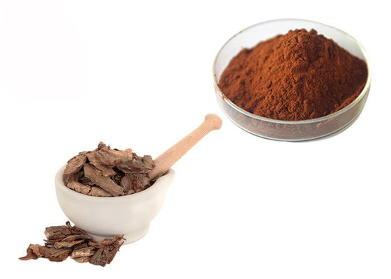 Proanthocyanidins 95% Pine Bark Extract Powder supplier