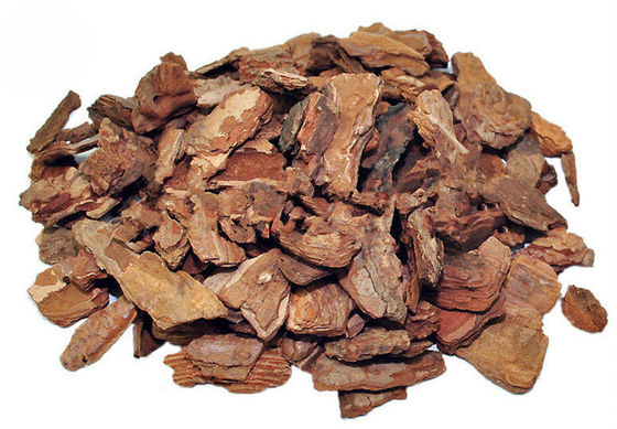 Proanthocyanidins 95% Pine Bark Extract Powder supplier