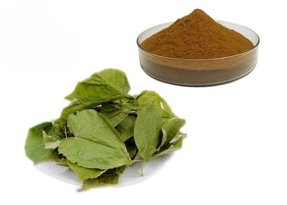CAS 489-32-7 Horny Goat Weed Epimedium Herbal Extract Powder supplier