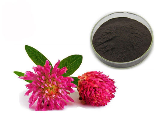 Purity 2.5% 8% 20% 40% Isoflavones Red Clover Extract Powder supplier