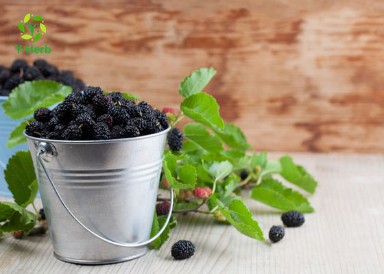 Anthocyanin Fruit Mulberry Herbal Extract Powder For Food Additives supplier