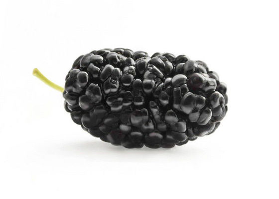 Anthocyanin Fruit Mulberry Herbal Extract Powder For Food Additives supplier