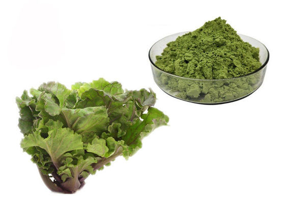 Juice Kale Extract Powder supplier