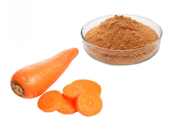 10:1 Dried Carrot Vegetable Extract Powder For Concentrate Juice supplier