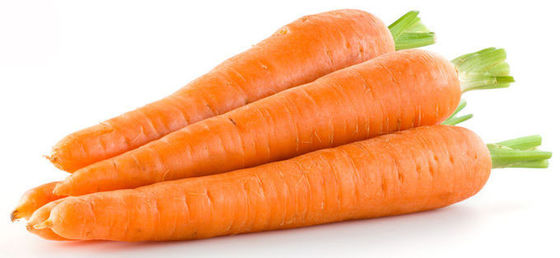 10:1 Dried Carrot Vegetable Extract Powder For Concentrate Juice supplier