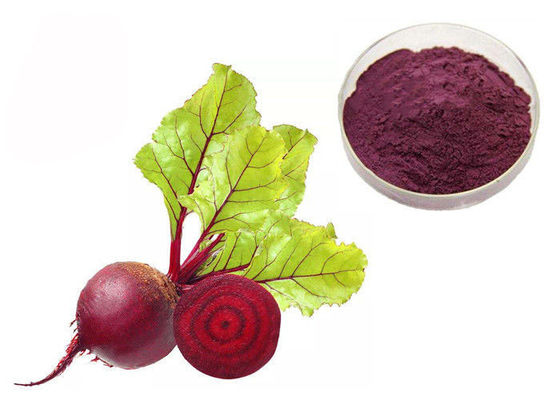 Natural Pigment Anti Tumor Red Beetroot Vegetable Extract Powder supplier