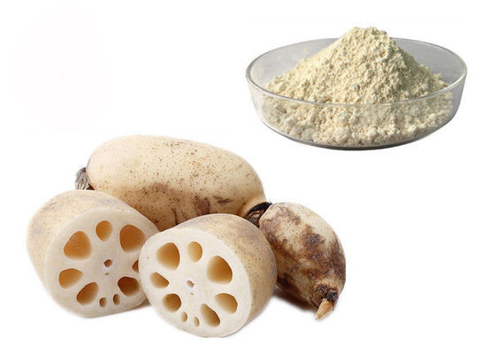 Meal Replacement Pure Natural Lotus Root Vegetable Extract Powder supplier