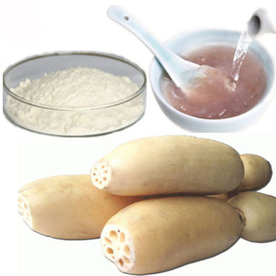 Meal Replacement Pure Natural Lotus Root Vegetable Extract Powder supplier