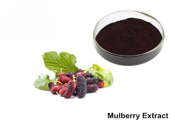 Natural Mulberry Extract Powder supplier