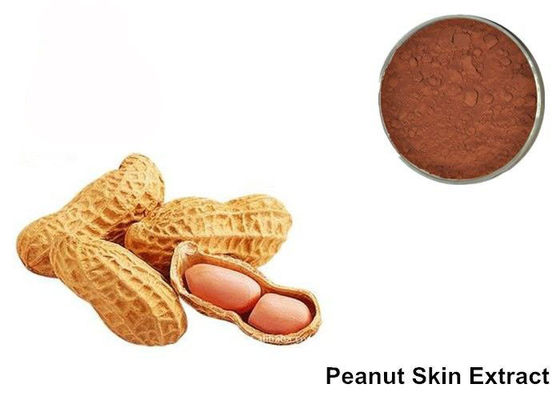 95% Proanthocyanidins Peanut Skin Anthocyanin Extract Powder supplier