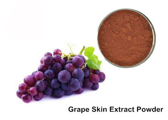 25% Anthocyanins Pure Grapeseed / Grape Skin Extract Powder supplier