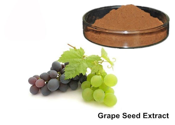 25% Anthocyanins Pure Grapeseed / Grape Skin Extract Powder supplier