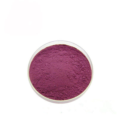 Concentrated Juice Black Currant 10% Anthocyanin Extract Powder supplier