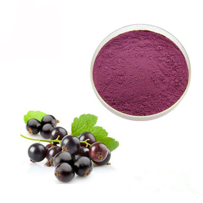 Concentrated Juice Black Currant 10% Anthocyanin Extract Powder supplier